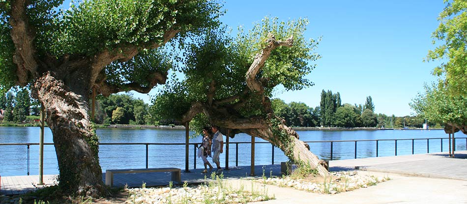 Parc allier tourisme vichy