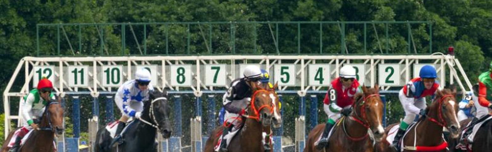 Festival du Trot et du Galop