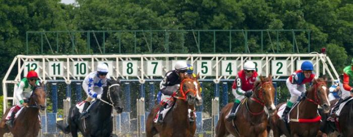 Festival du Trot et du Galop